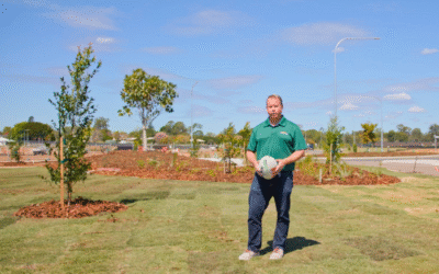Building the Future at Lilywood Landings