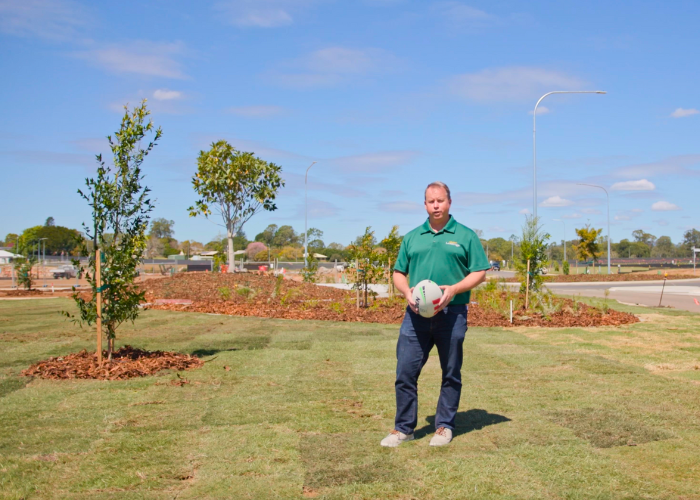 Building the Future at Lilywood Landings